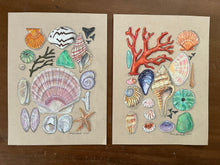 Beachcombing 21