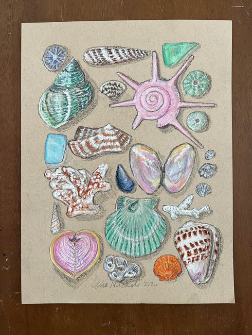 Beachcombing 25
