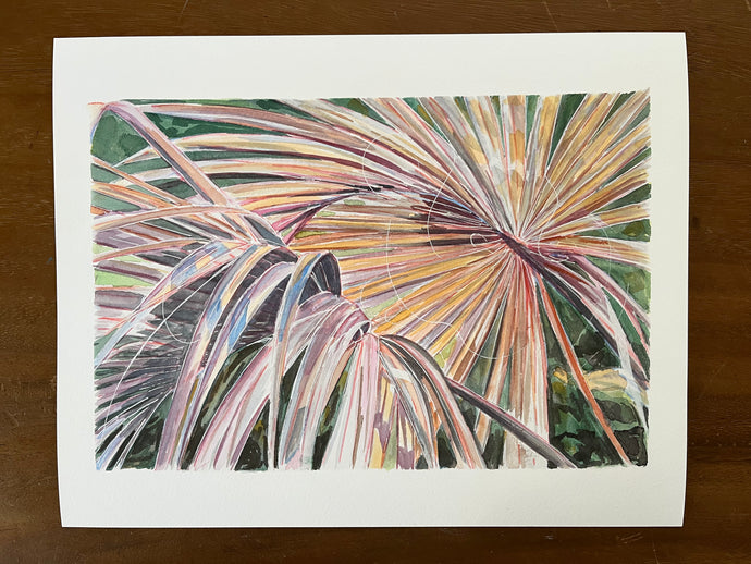 Dried Palm Fronds