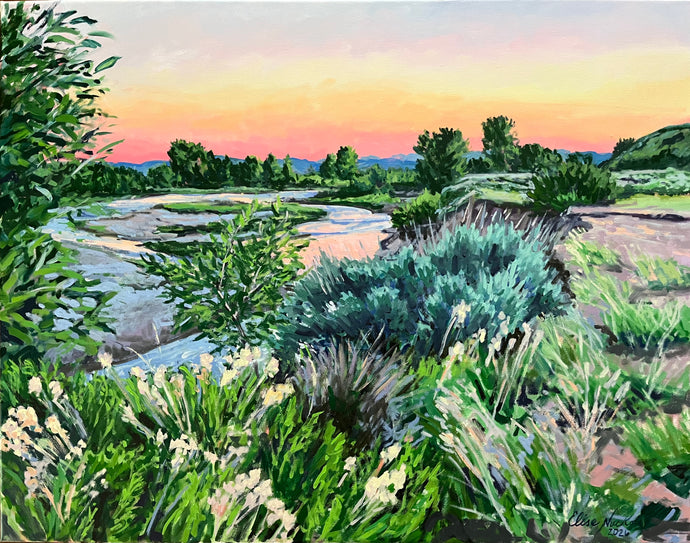 Sunset on the River in Jackson Hole