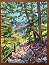Looking Over Ouray