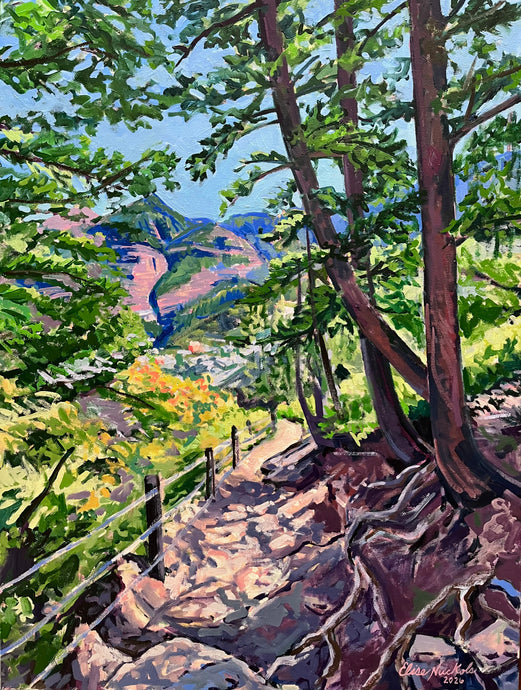 Looking Over Ouray