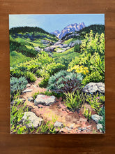 High Mountain Switchbacks