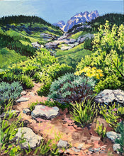 High Mountain Switchbacks