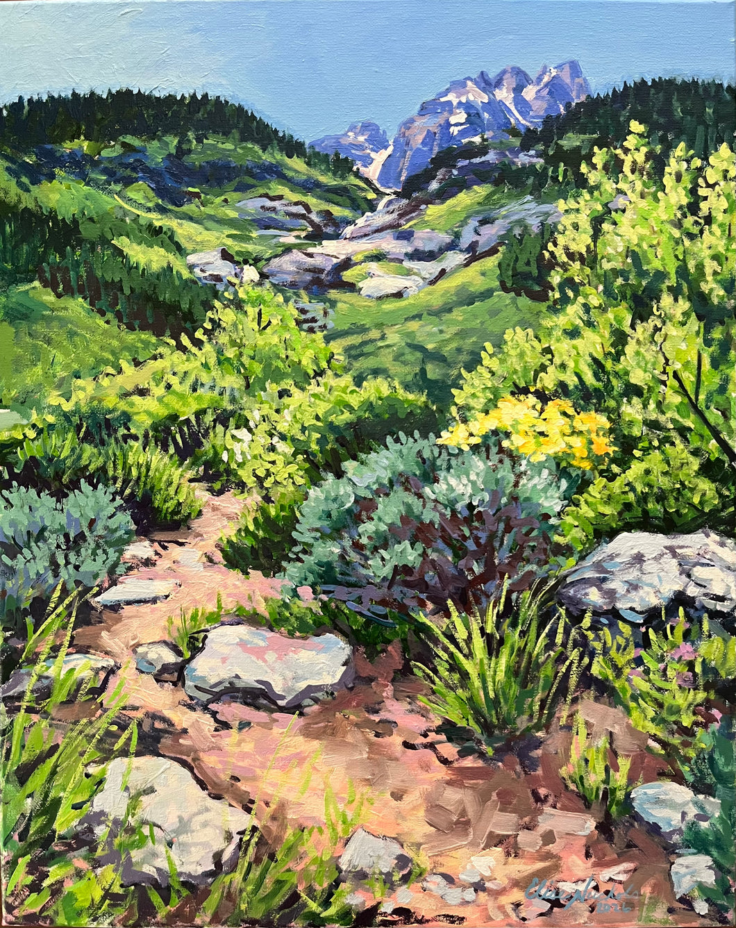 High Mountain Switchbacks
