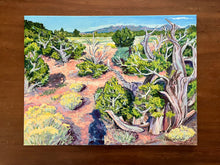 The High Desert