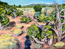 The High Desert