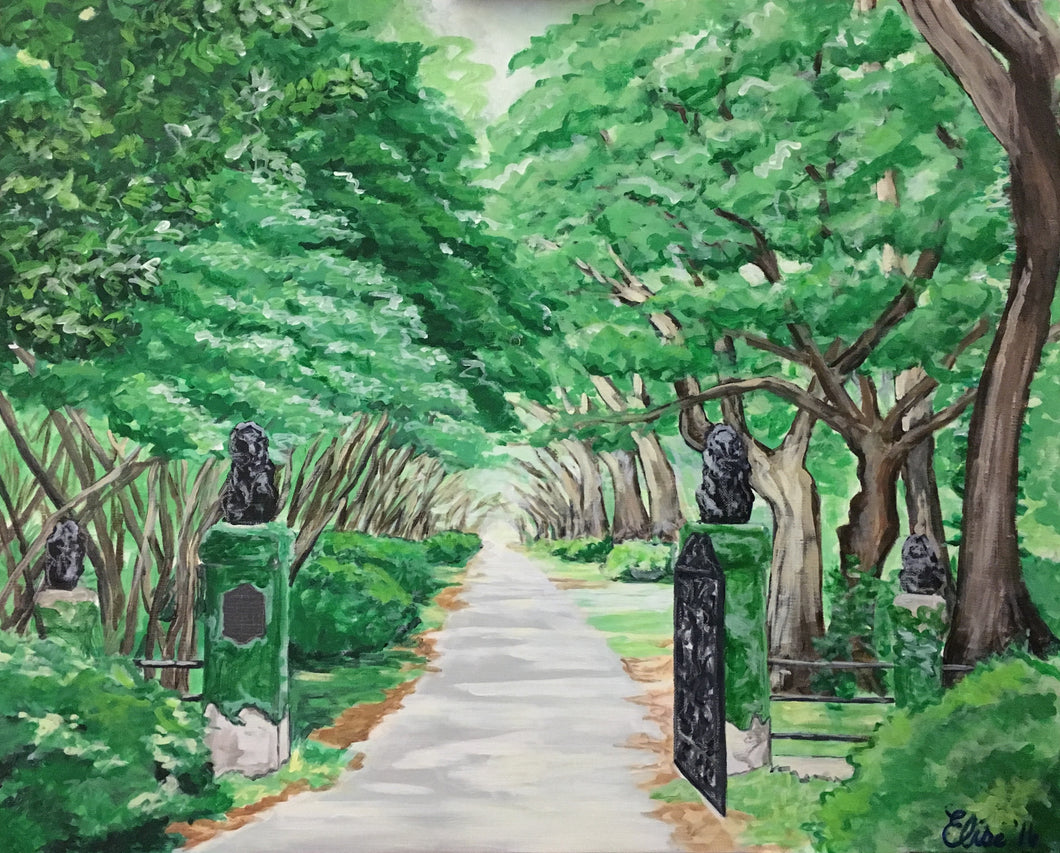 Magnolia Plantation Gate