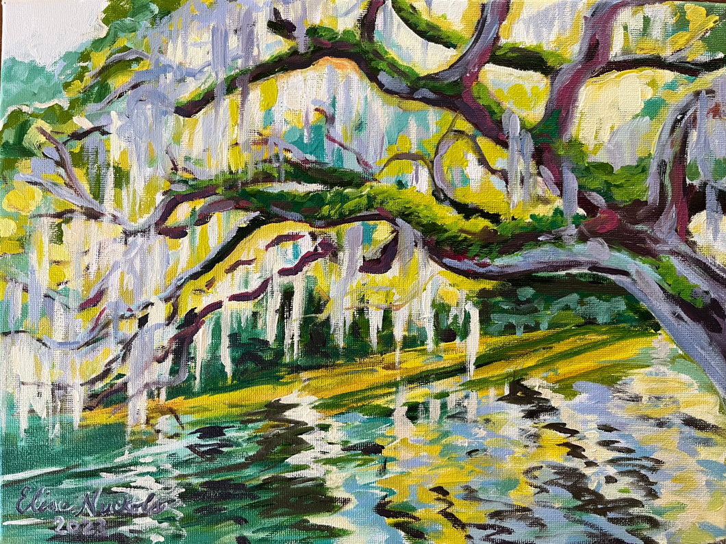 Morning Oak on the Water-Study