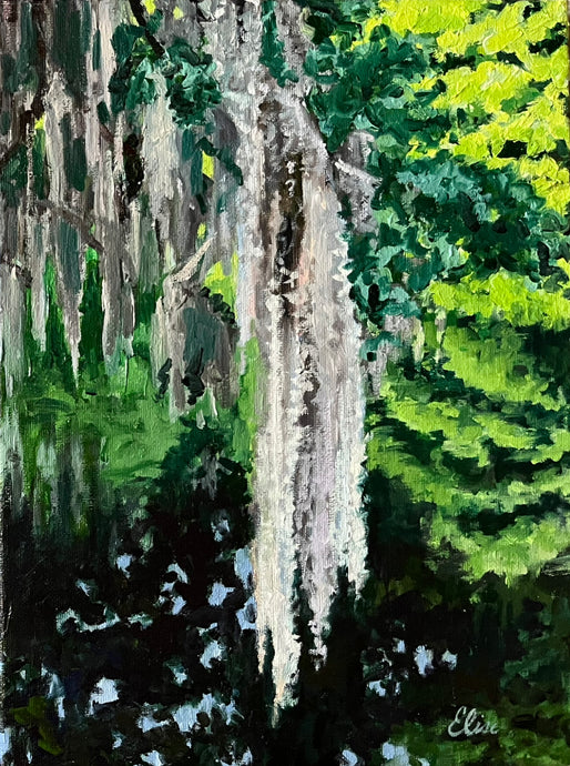 Middleton Spanish Moss