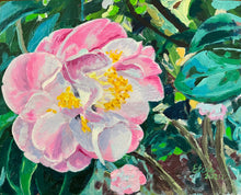 ‘Mrs. Lyman Clarke’ Camellia, Cloudy Day