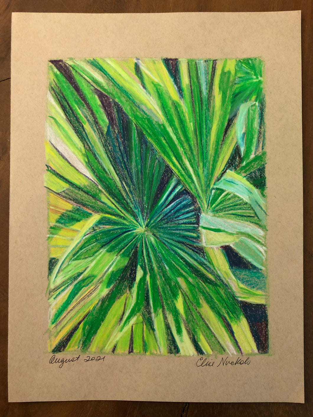 Palm Frond