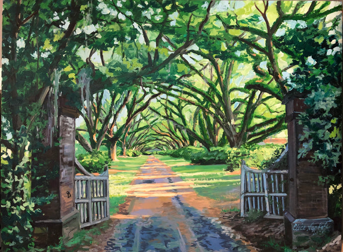 Old Oak Lined Drive