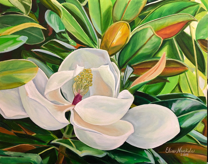 Full Bloom