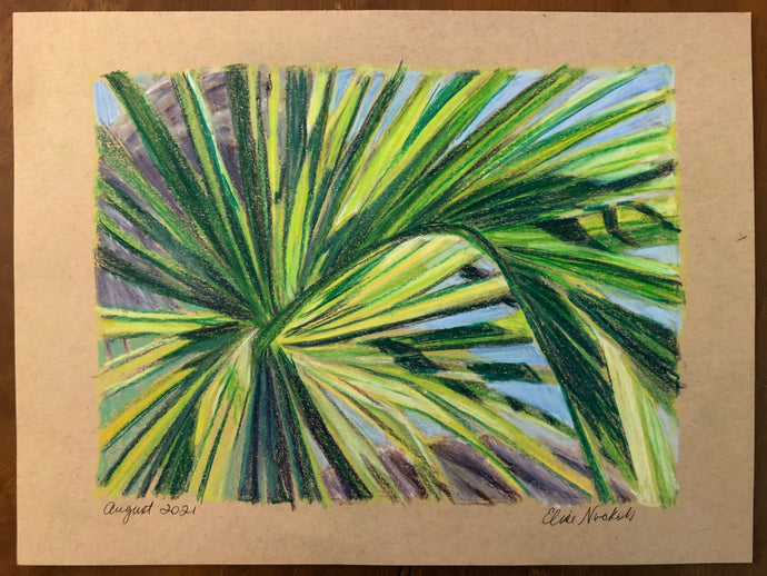 Palm Frond II