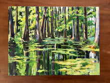 Cypress Swamp, Mid-Summer