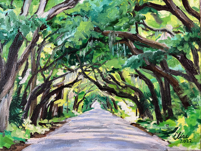 Sunny Oak Road